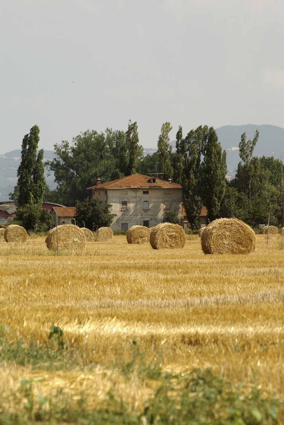 countryside nearby
