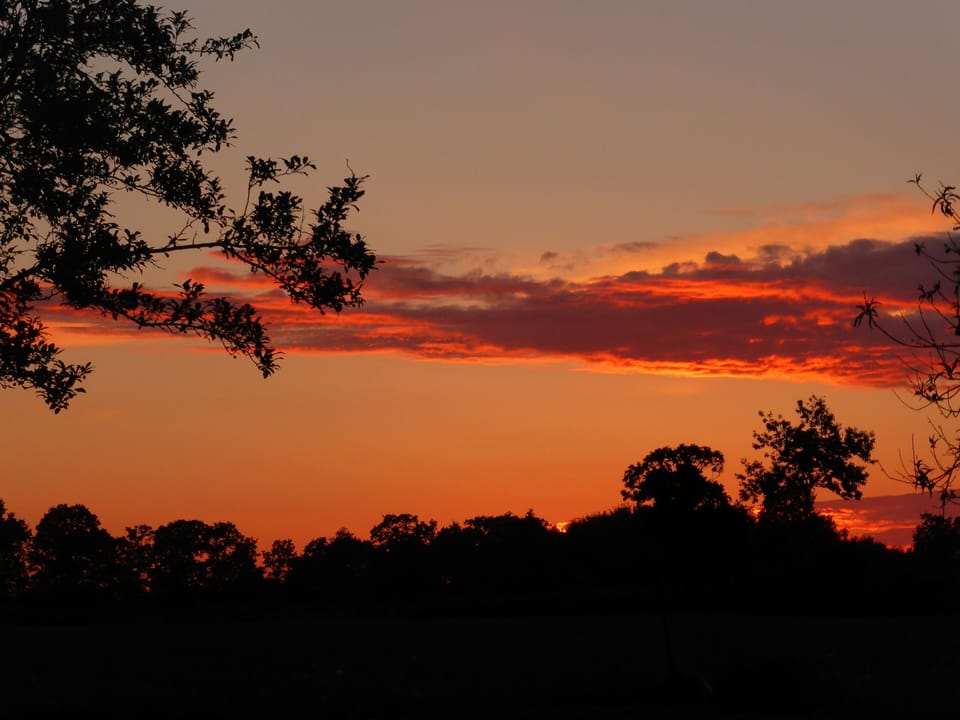 Beautiful sunsets