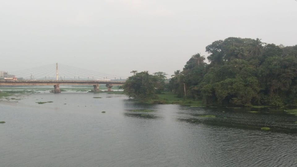 Inside the CITY but village atmosphere, calm and serene, opens to the river Villa in Kochi