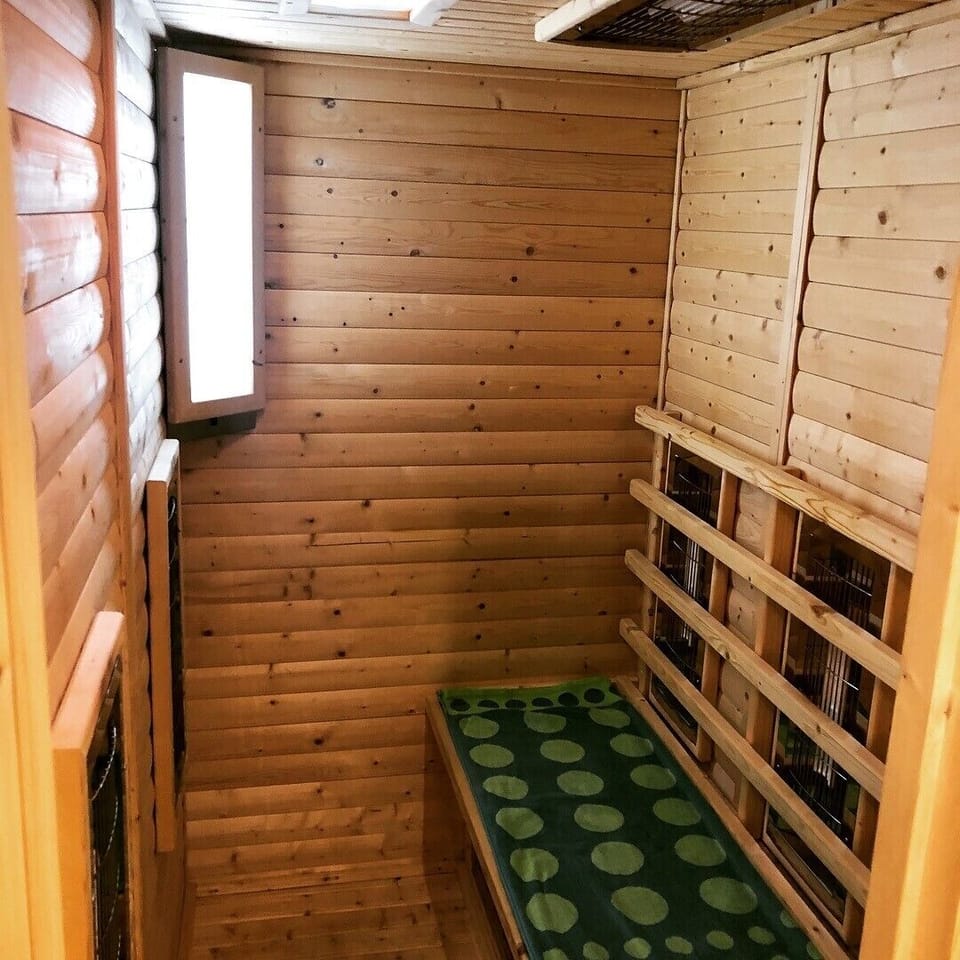 Far infrared sauna, Chillspace MiniSpa