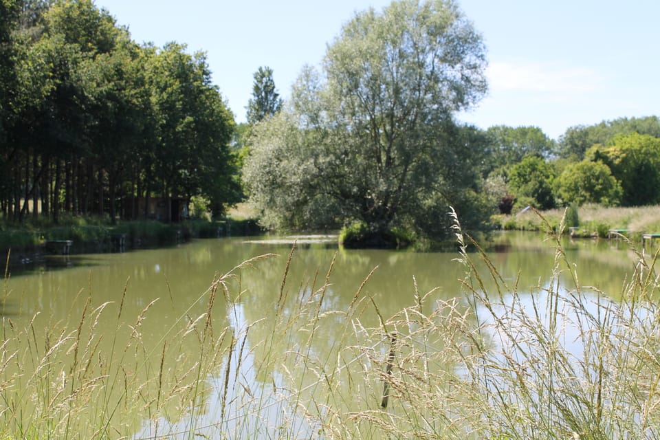 Fully stocked carp fishing lake