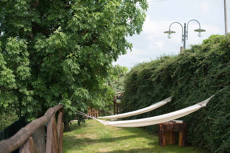 Hammock area
