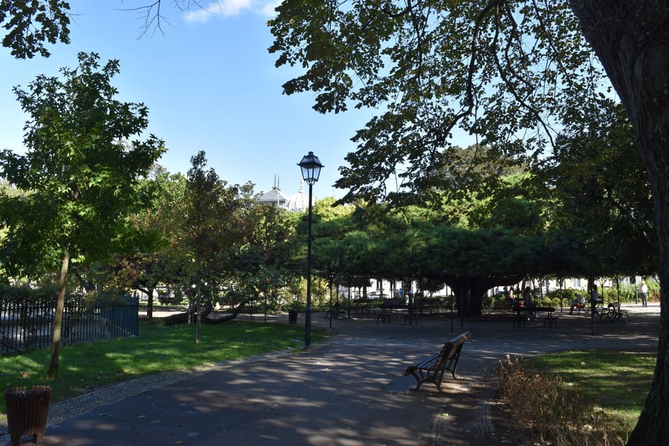 surroundings
