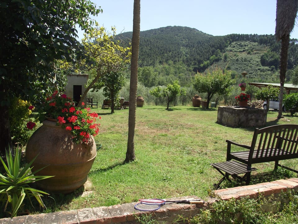 shared garden