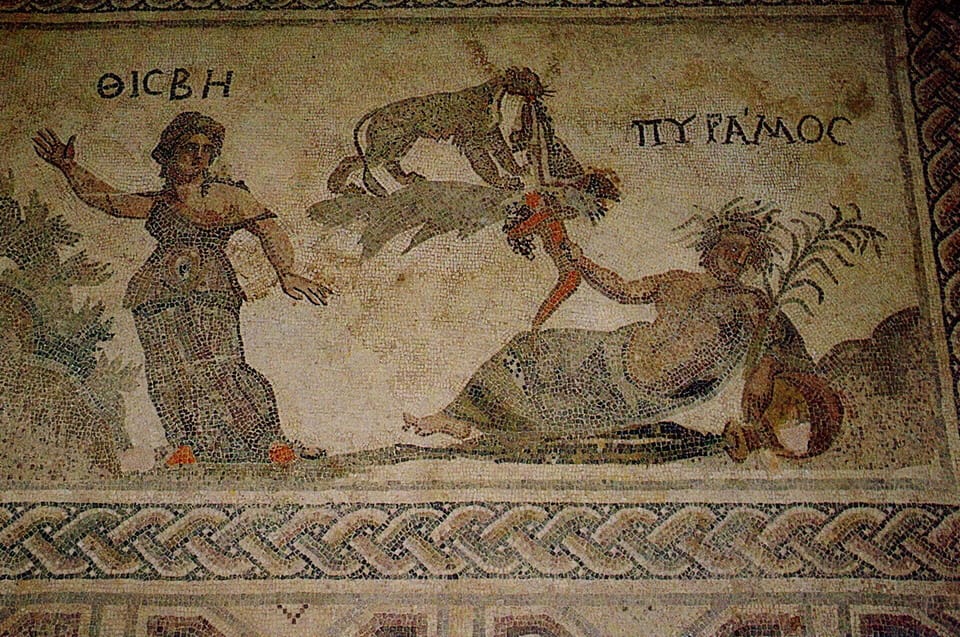Paphos Harbour Mosaics