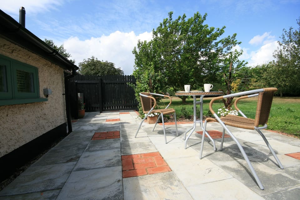 Overlooking the mulberry tree