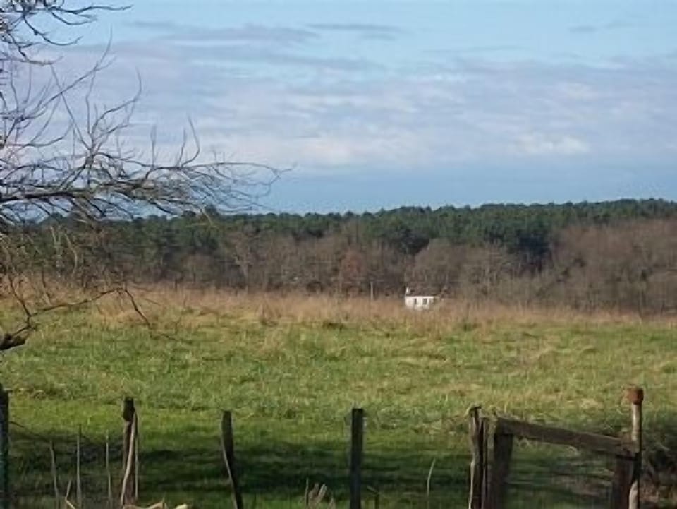 View from back garden