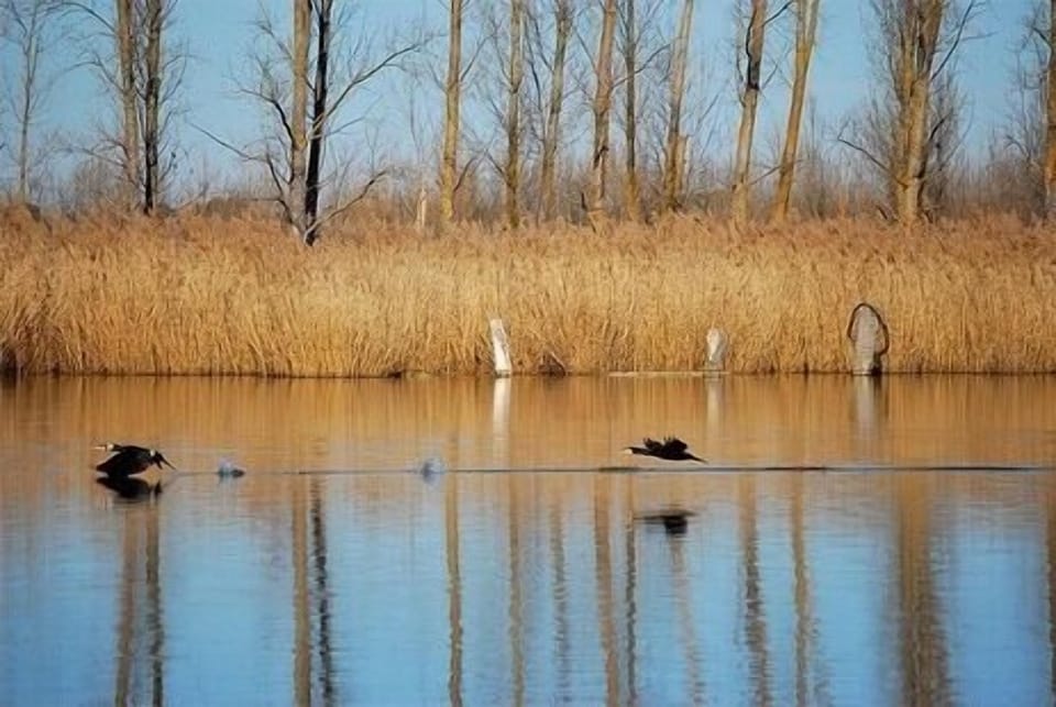 Lake
