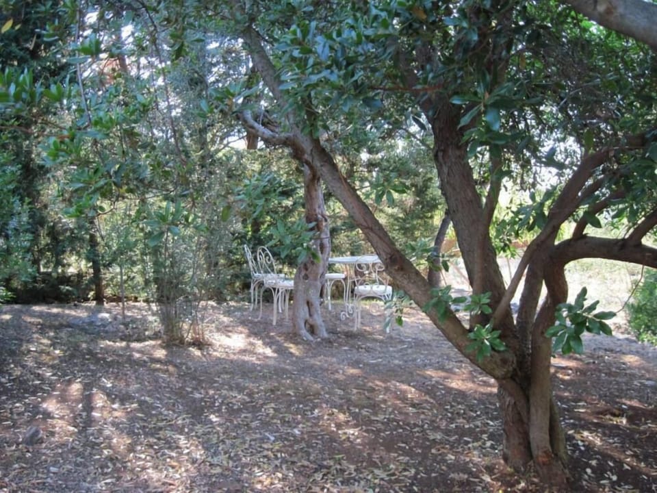 Garden, Park