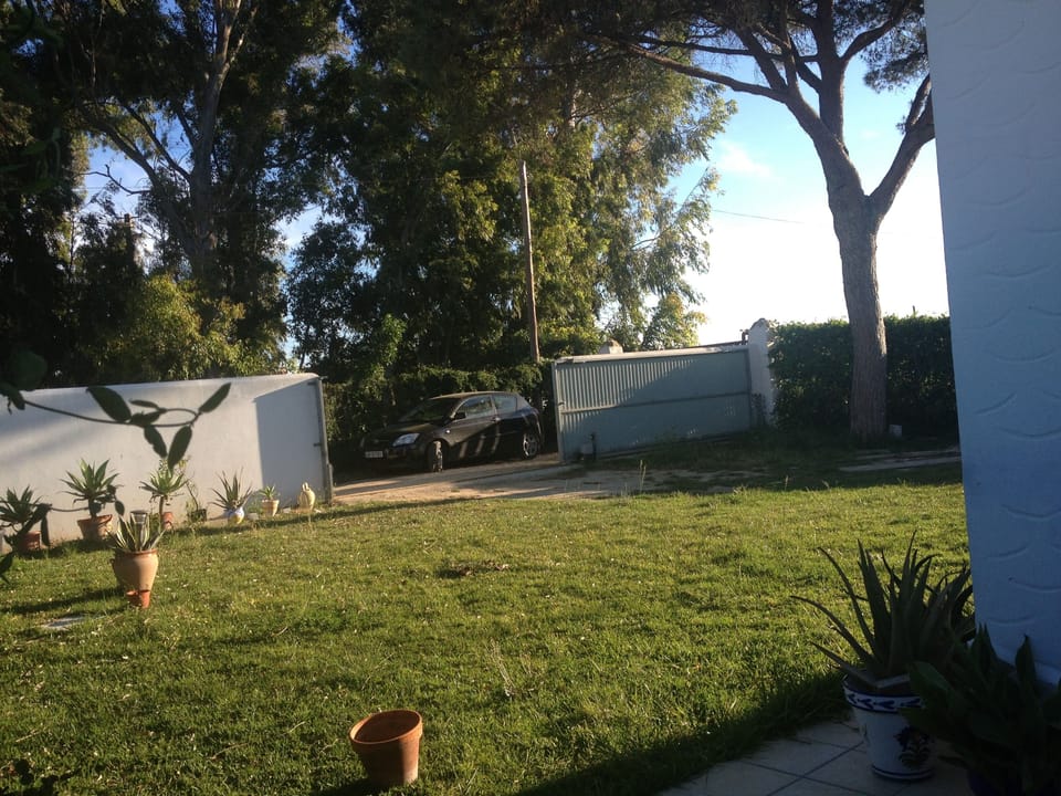 Property grounds
