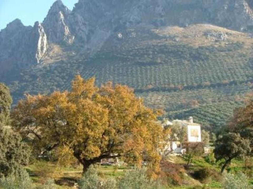 Overview