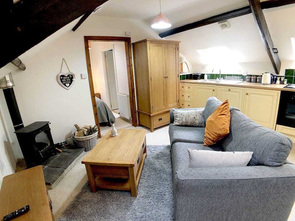 Log burner comes set up ready to light and with a basket of logs included.