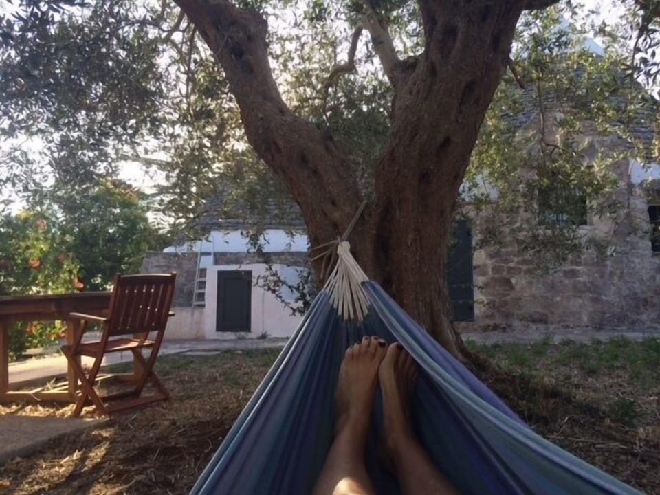 Lazing on a sunny afternoon!