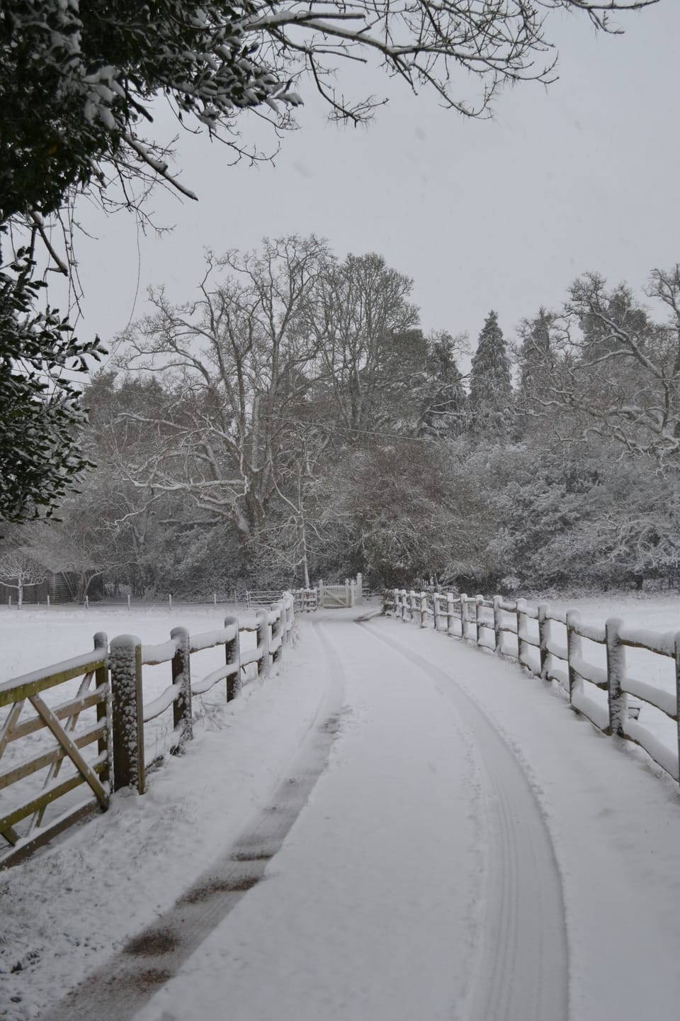 Lovely and magical  in the snow and great for tobogganing!