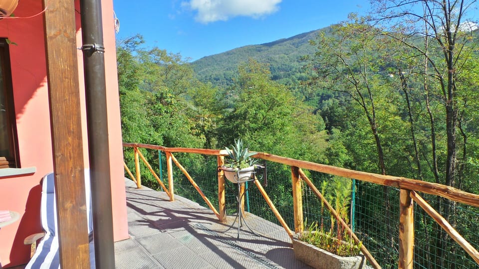 View up the valley from the terrace.