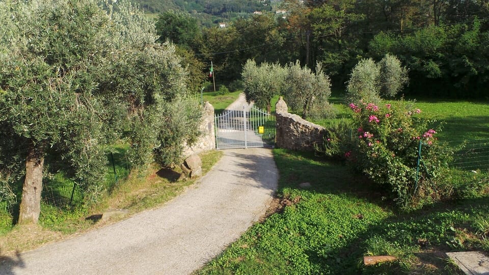 Automatic gates to the property for added security. Fob provided.