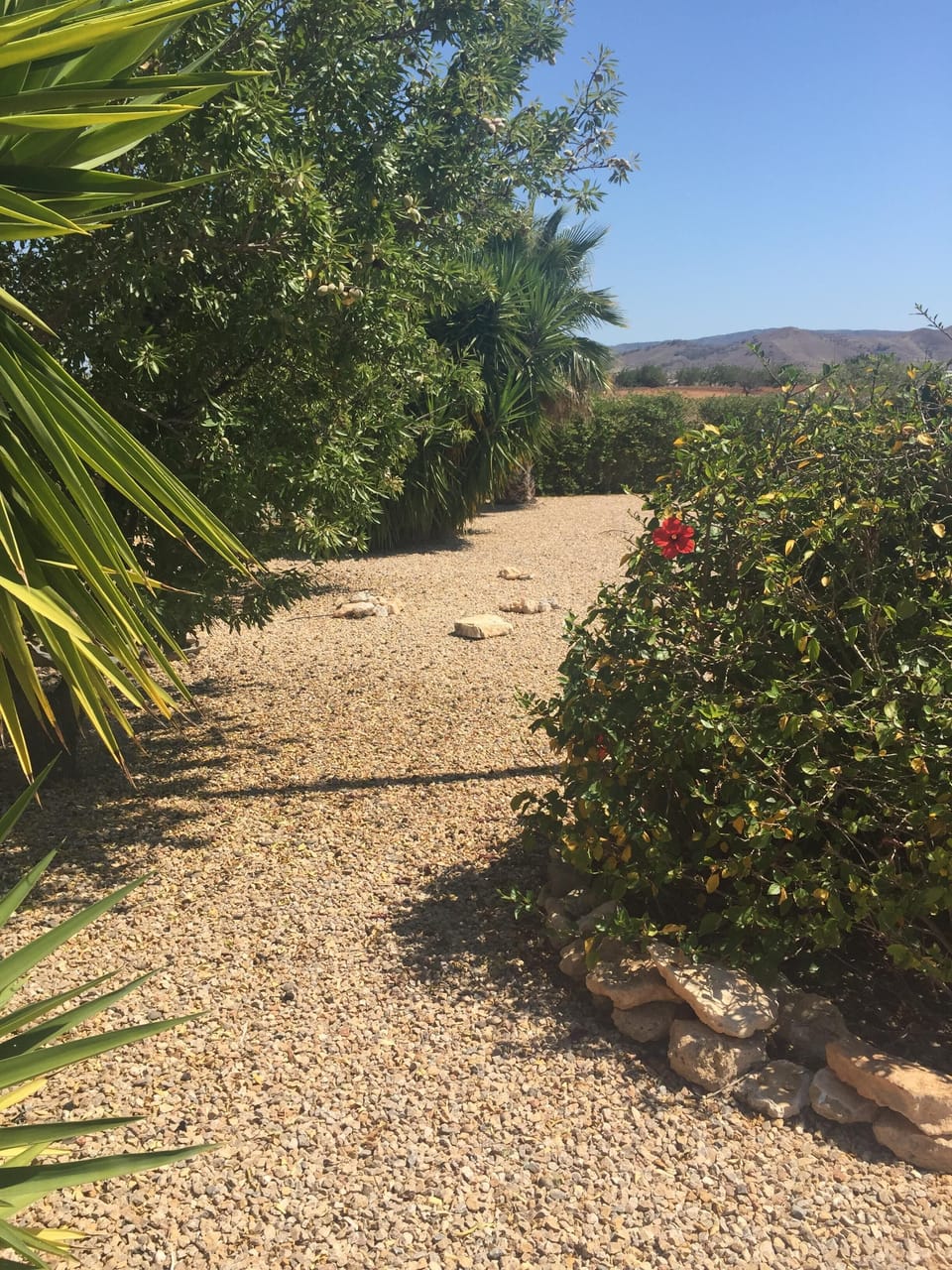 Villa Garden