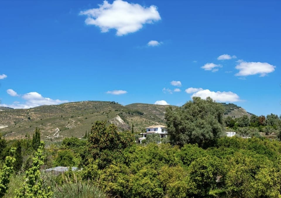 View of the finca from the village
