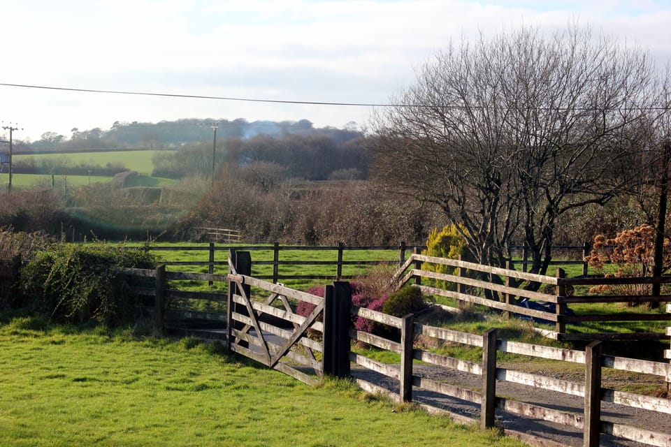 The view from the paddock