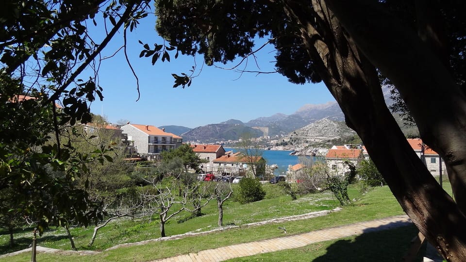 Snap Shot from Przno