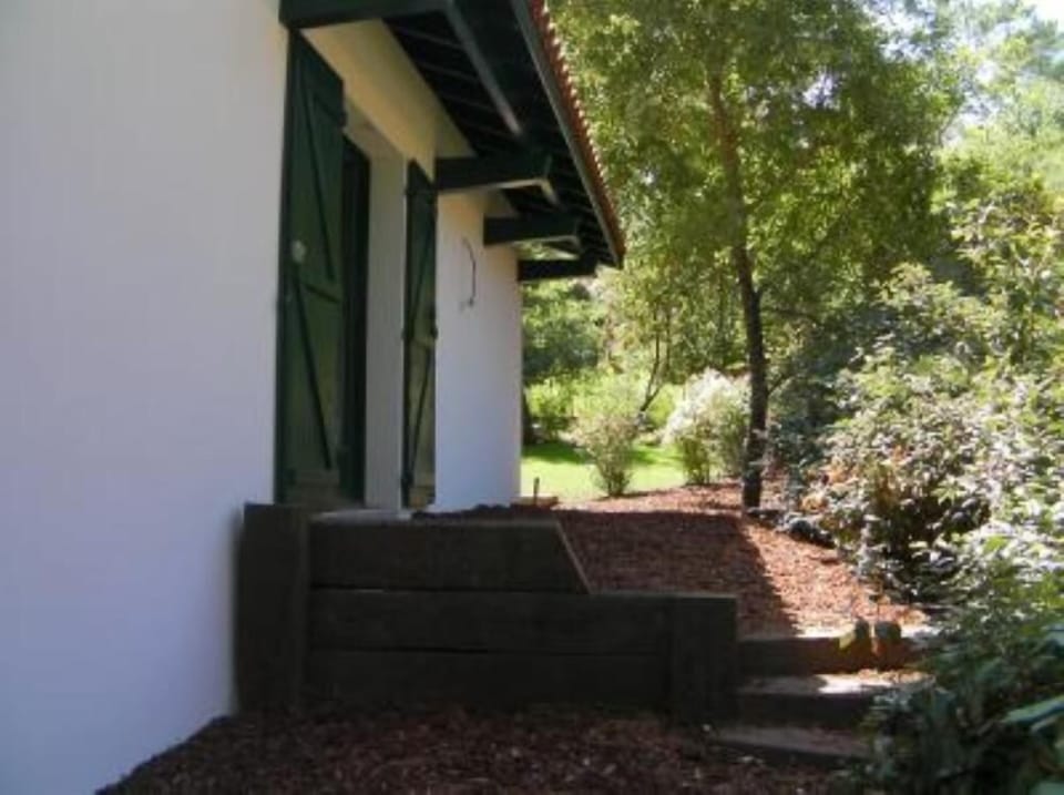 Garden, Park