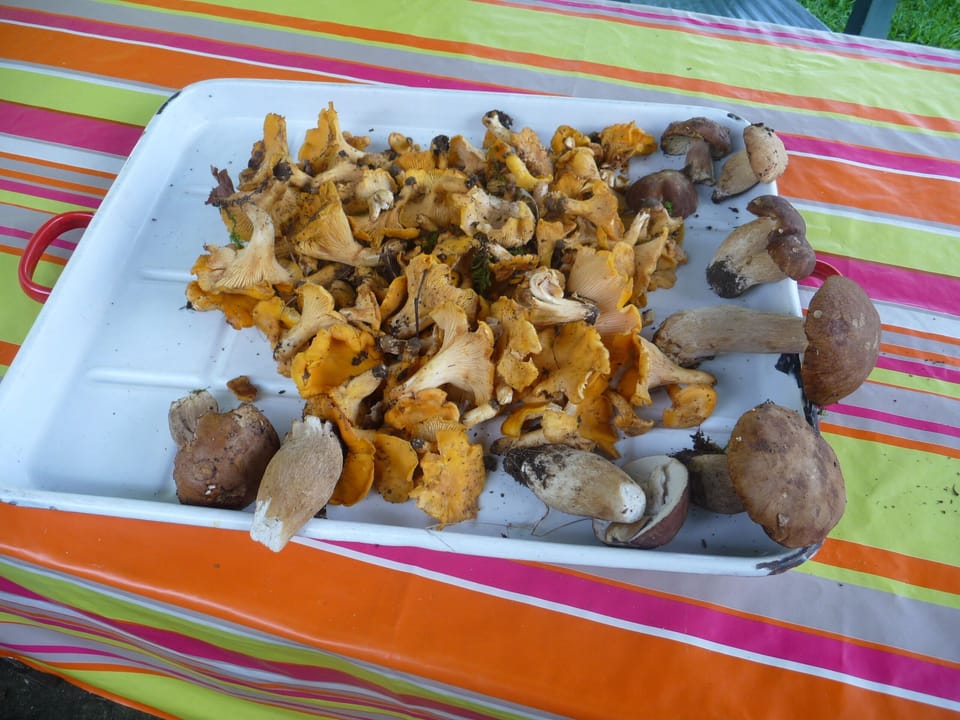 Food and drink