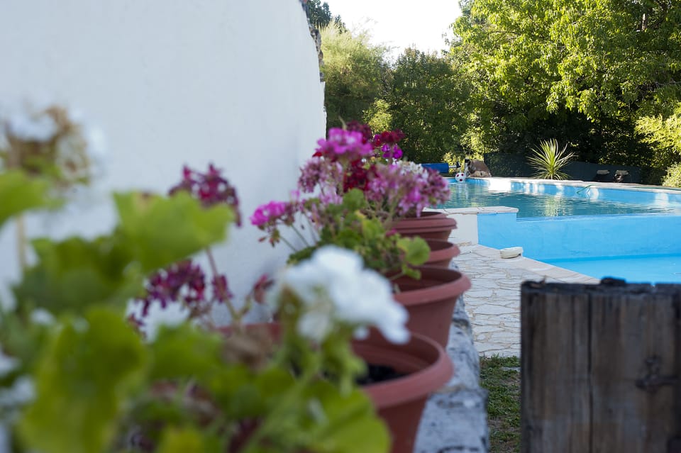 Pool and gardens.