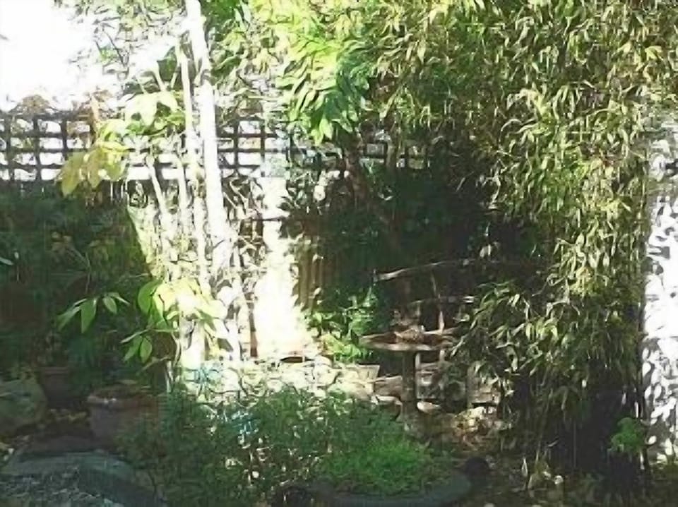 Japanese Garden