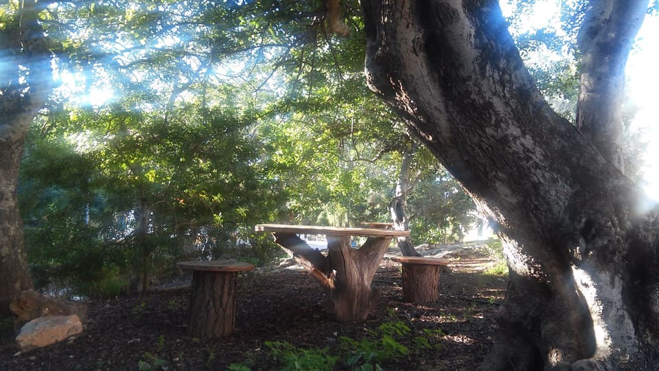 Picnic area