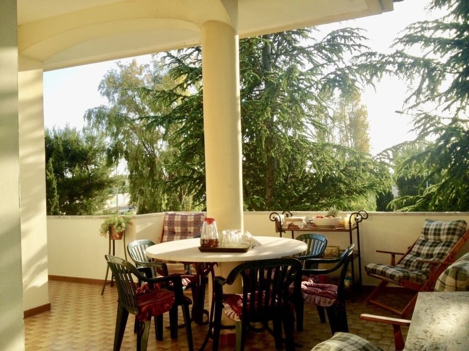 Relax corner with comfy seating area on the terrace, our pines in the background
