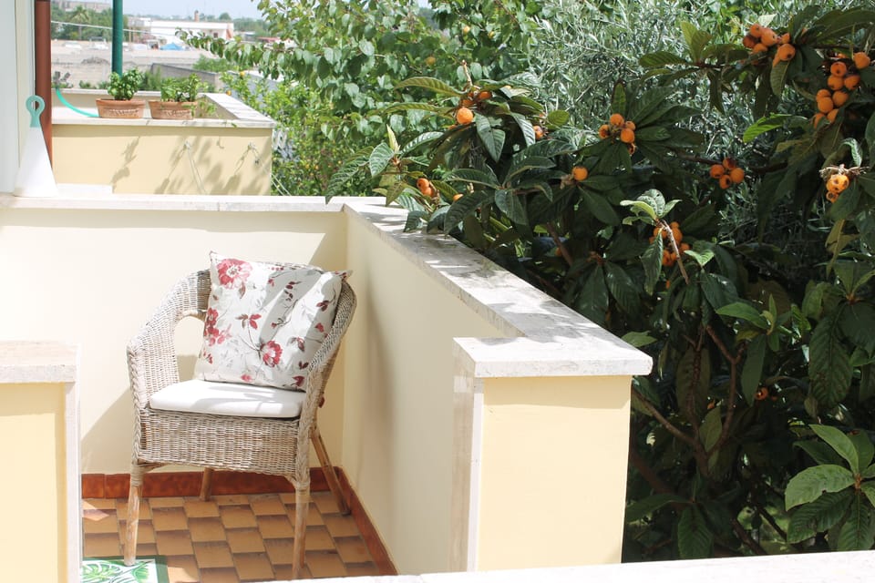 Bedroom's private balcony overlooking the garden, shaded by the fruit tree.