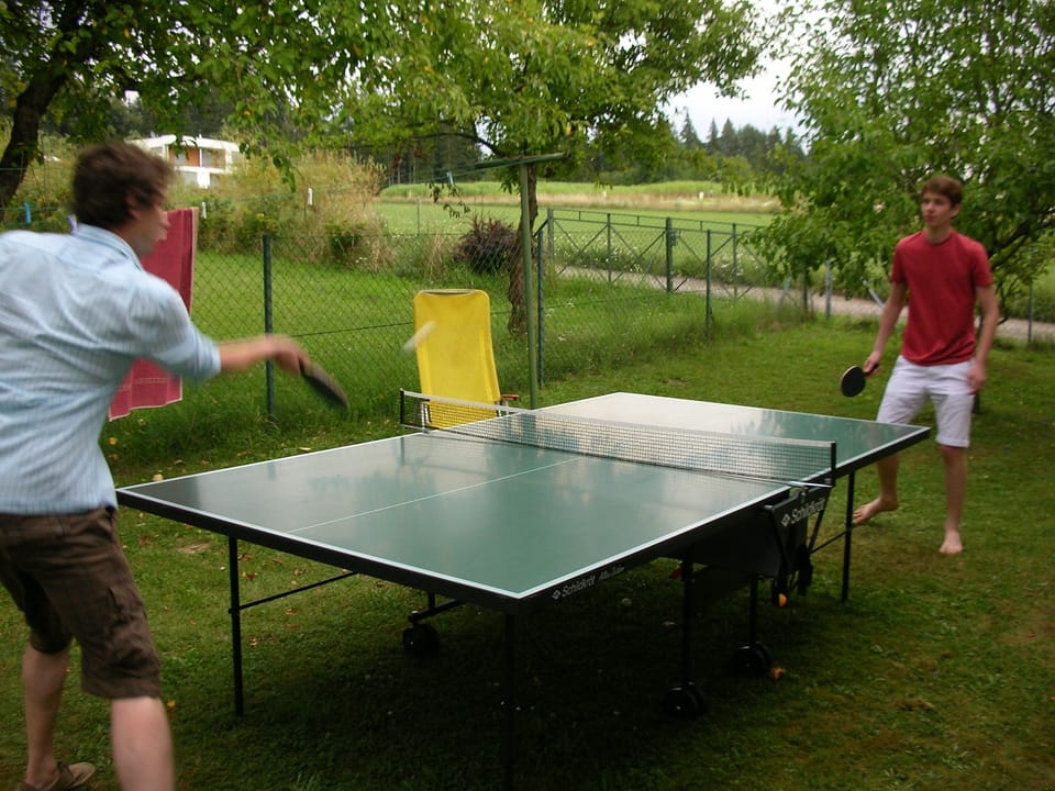 Table Tennis and Badminton in the garden