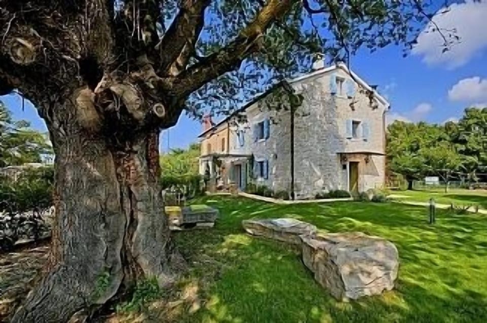 Casa Buscina 2