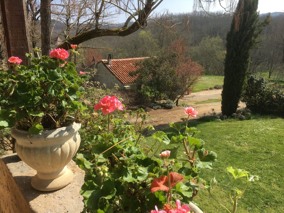 View of cottage from main house