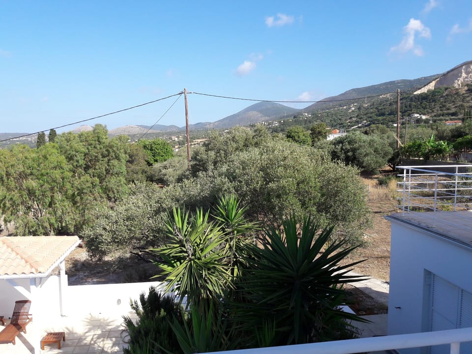 View to the west