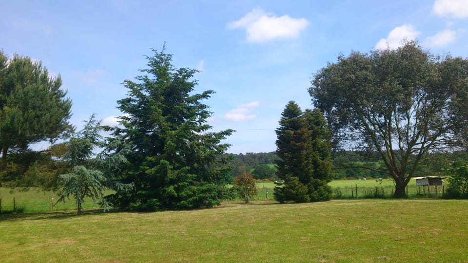 rear communal garden