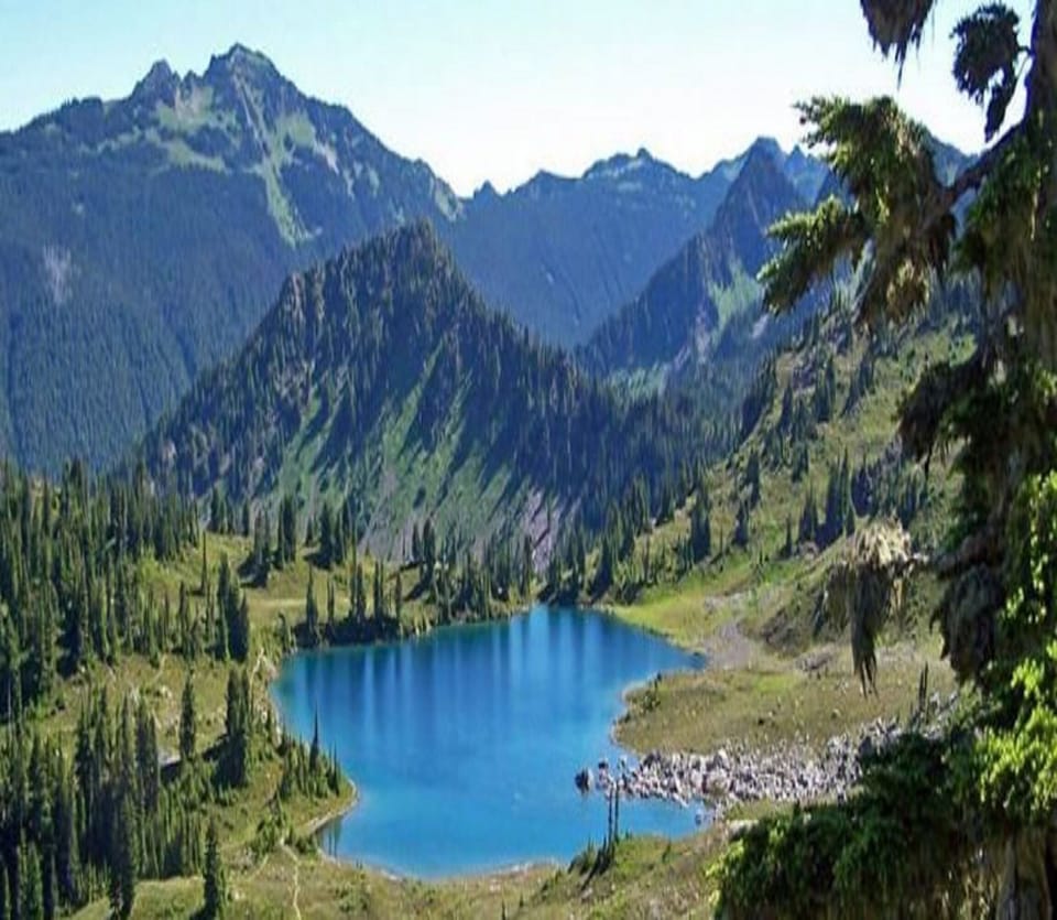 Miscellaneous
