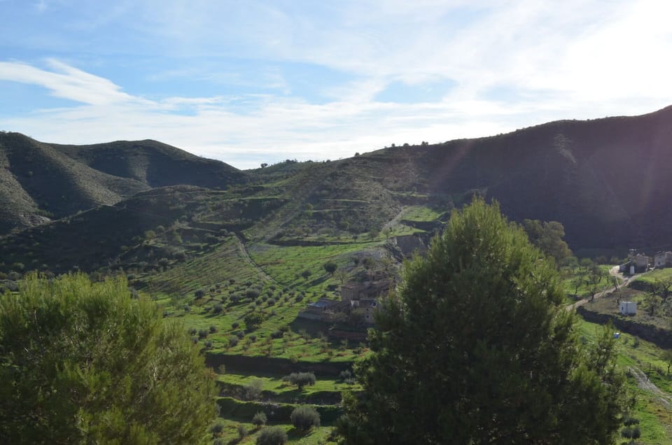 Olive plantations and peaks surround the Villa