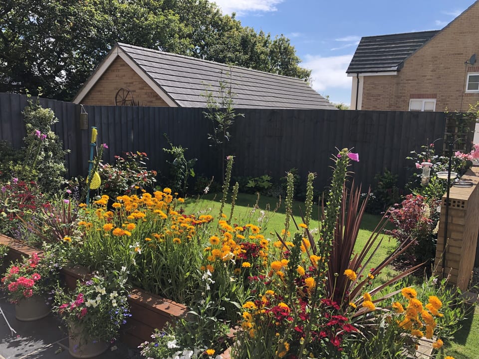 Relaxing garden
