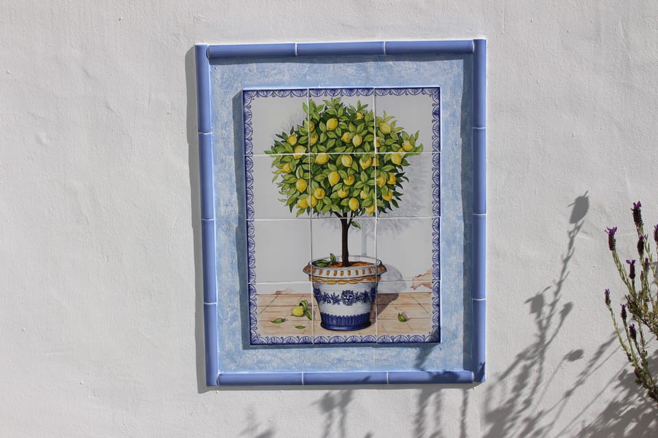 This typical local hand painted tile mural  looks lovely on our terrace.
