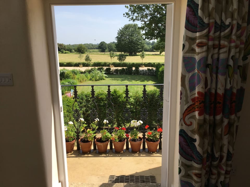 View from your bed in summer