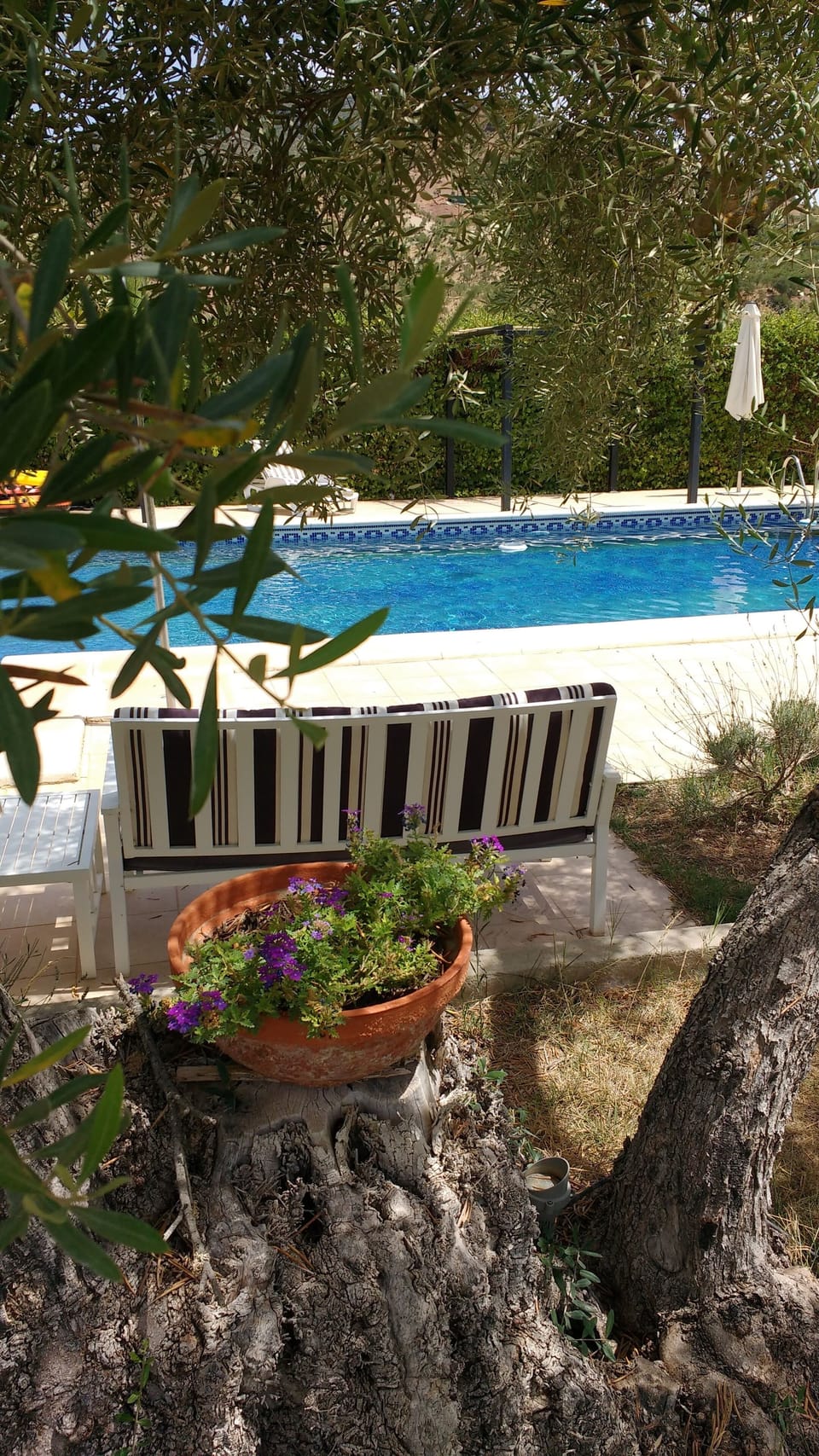 Relaxing by the pool