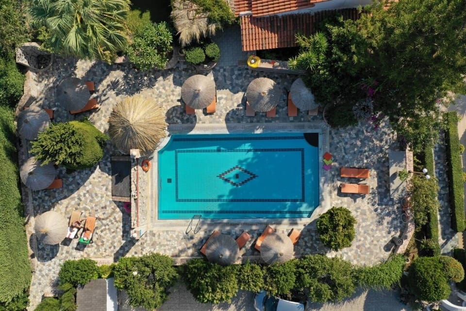 aerial photo pool