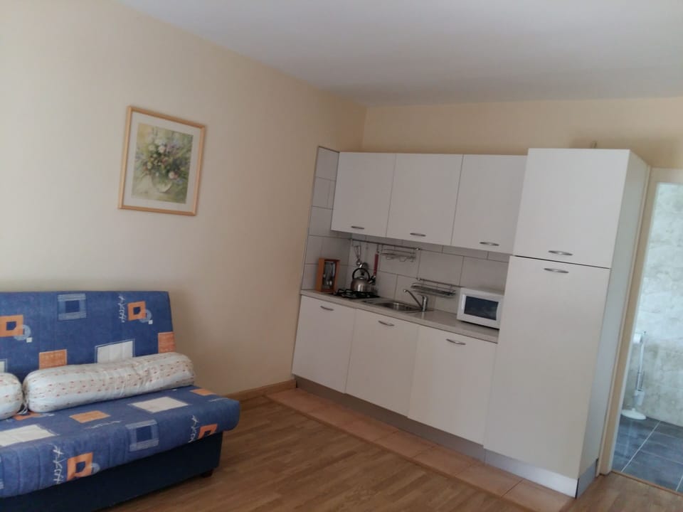Guests apartment salon+kitchen