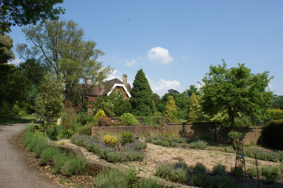 Approach to house with lavender garden