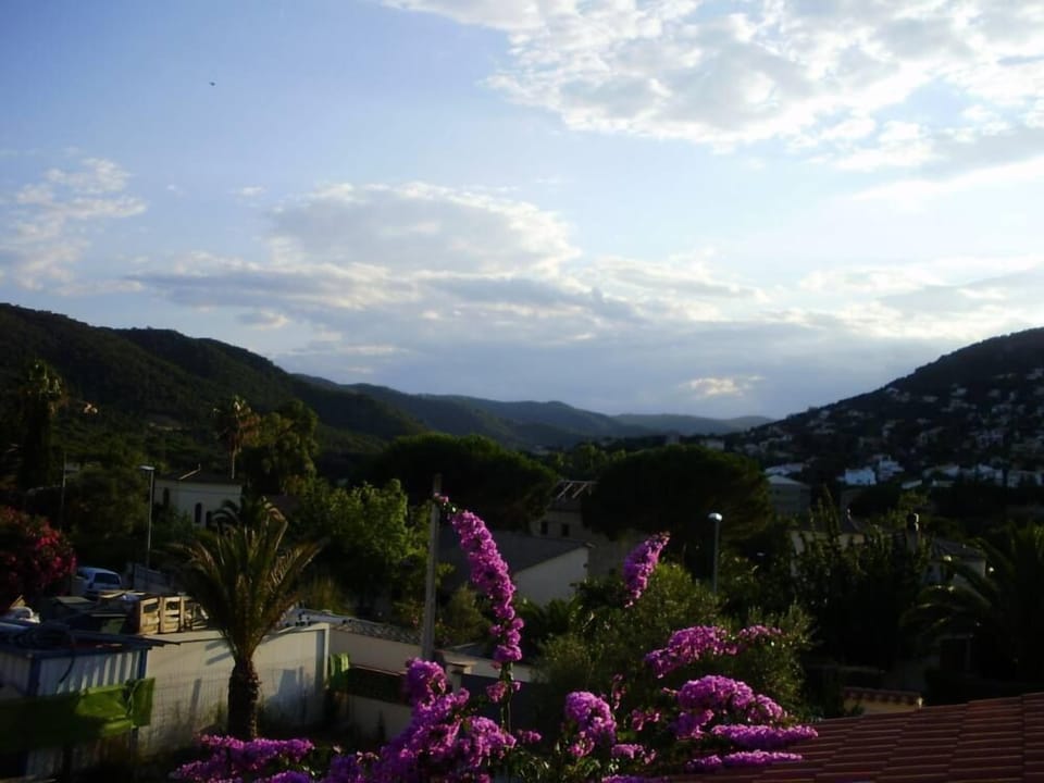 Mountain view