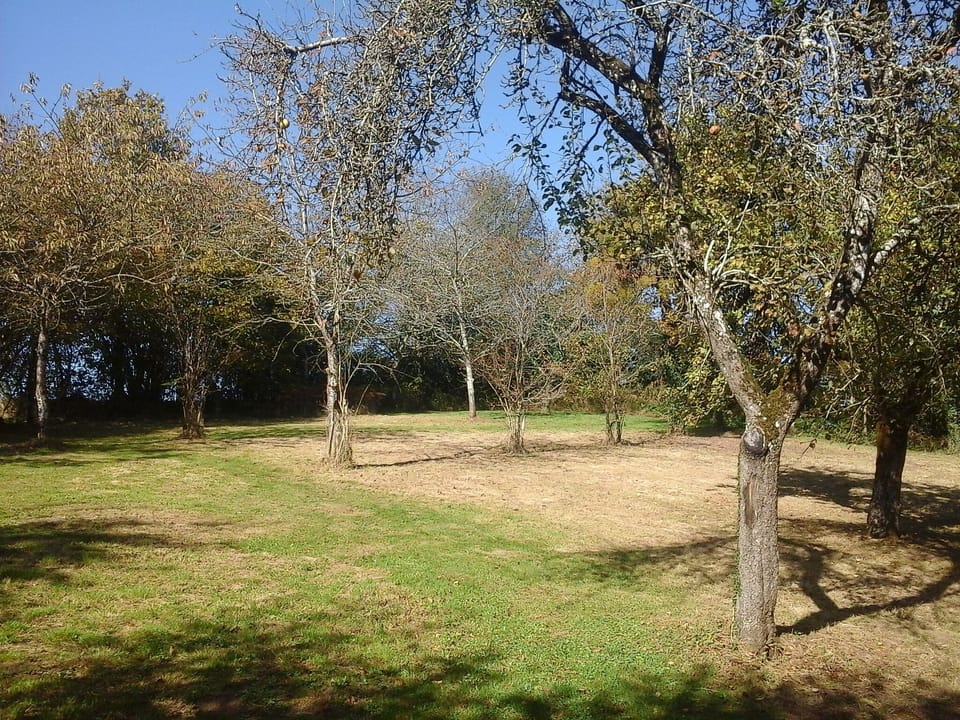more space !