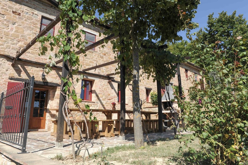 The house