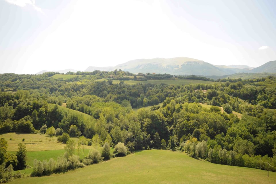 View from the terrace