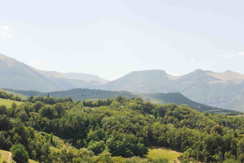 View from the swimming pool